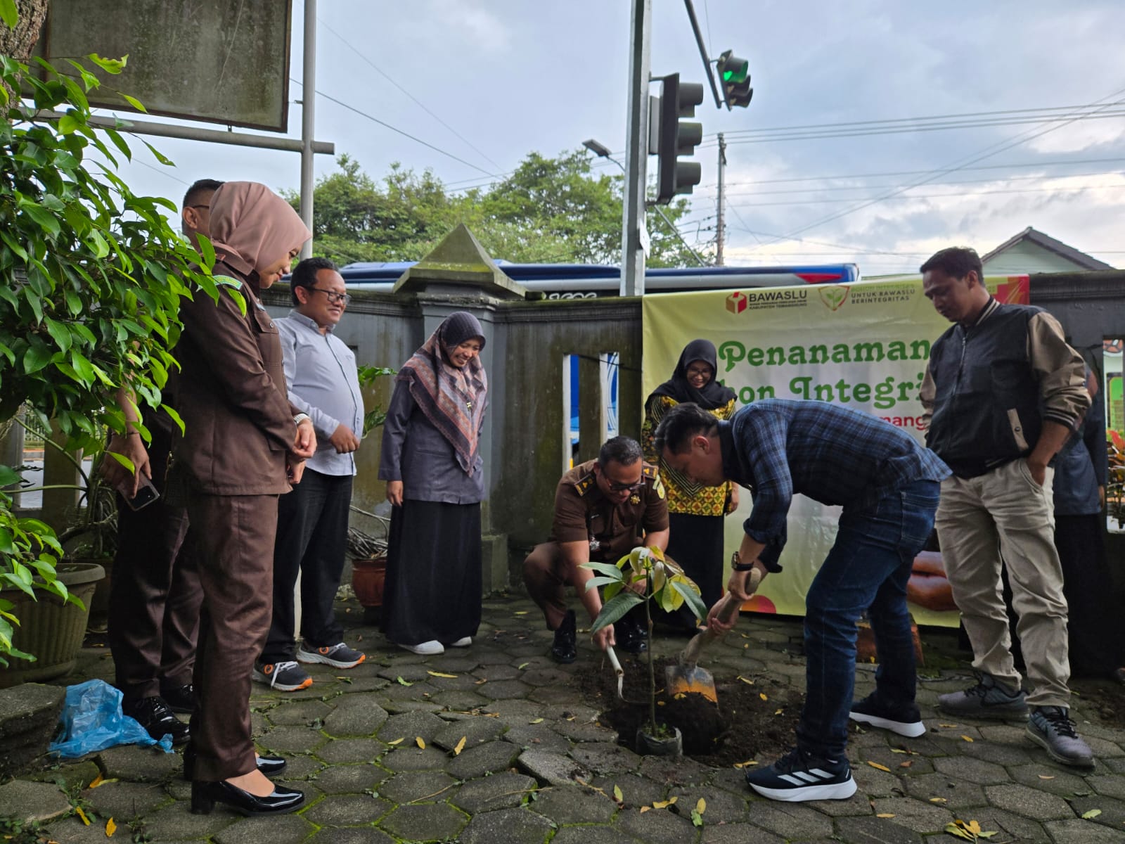 Manggis