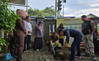Manggis