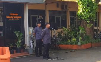 Apel